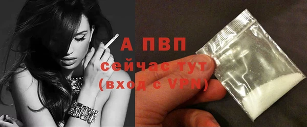 spice Аркадак