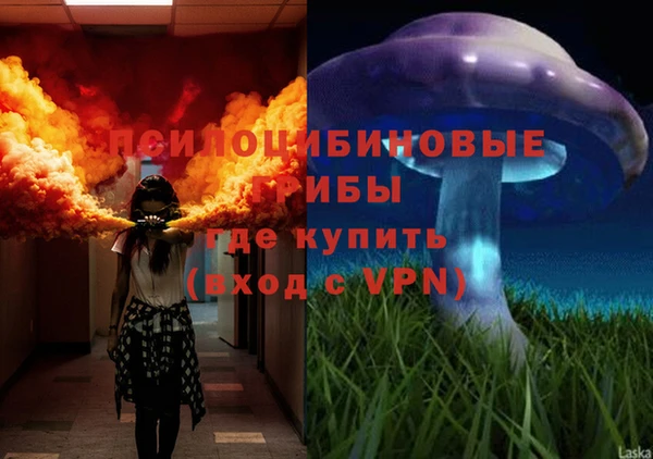 spice Аркадак