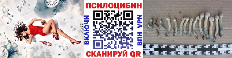 Галлюциногенные грибы ЛСД  Новодвинск 